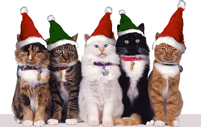 180-Feline Santas.png